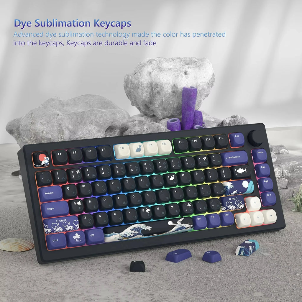 Keycaps PBT MOA Premium para Teclado Mecánico | 130+ Teclas | Dye Sublimation | Compatible Cherry MX